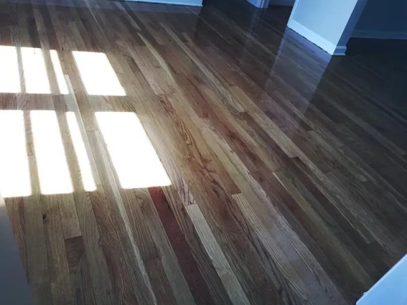 The sun shines through the windows on the hardwood floor